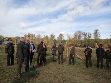 Nowy sad w Tadzinie założony 22.10.2021r. w ramach projektu Owoce pamięci, 